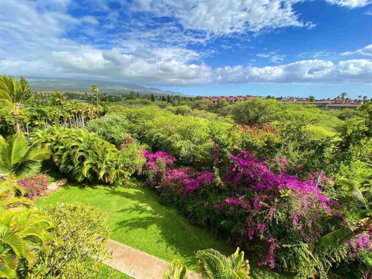 Penthouse 1 Bd King Suite With Ocean Views! Wailea  Kültér fotó